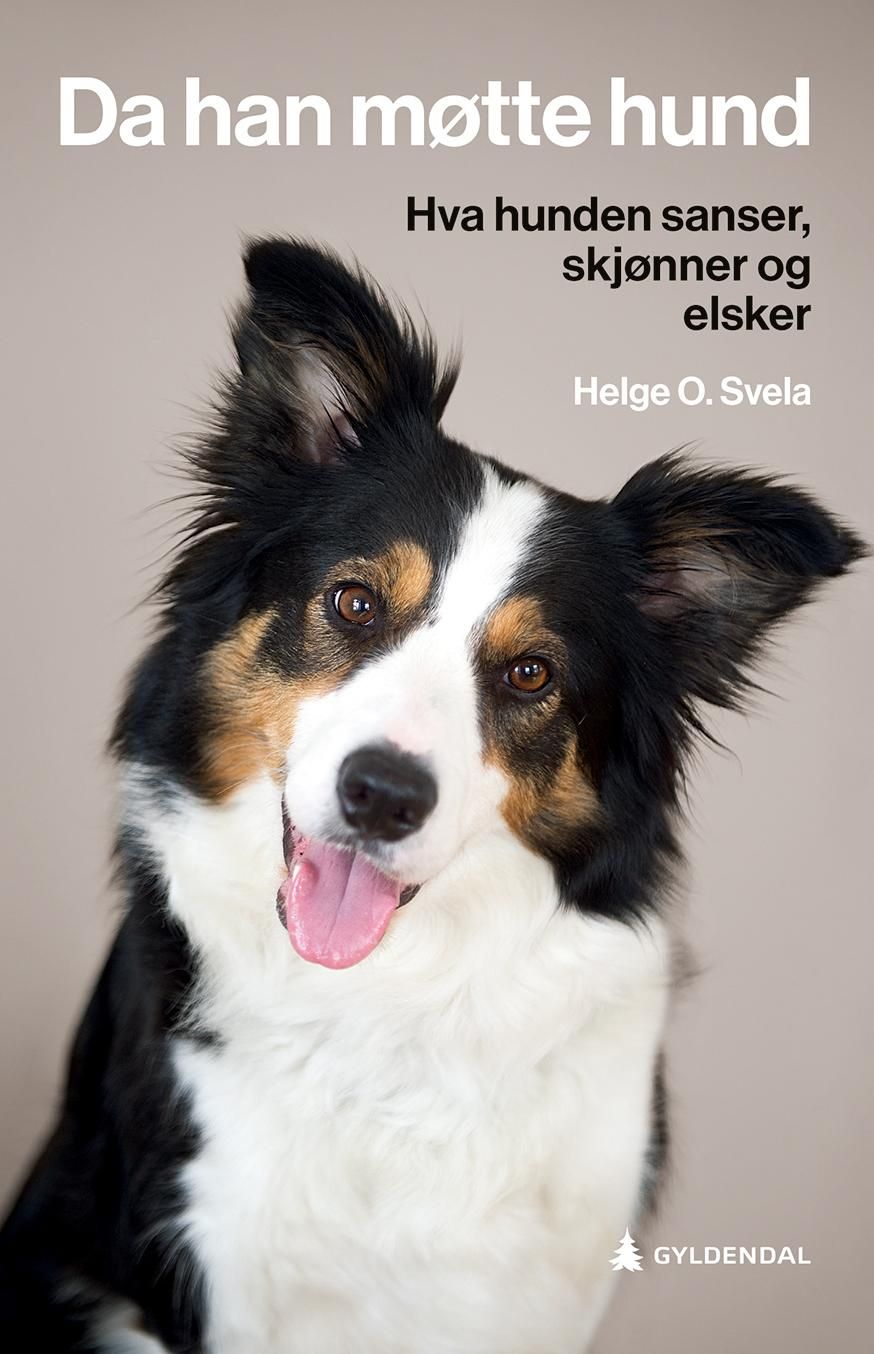 Da han møtte hund - hva hunden sanser, skjønner og elsker