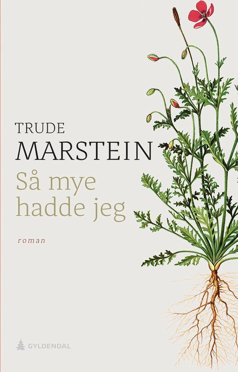 Så mye hadde jeg - roman