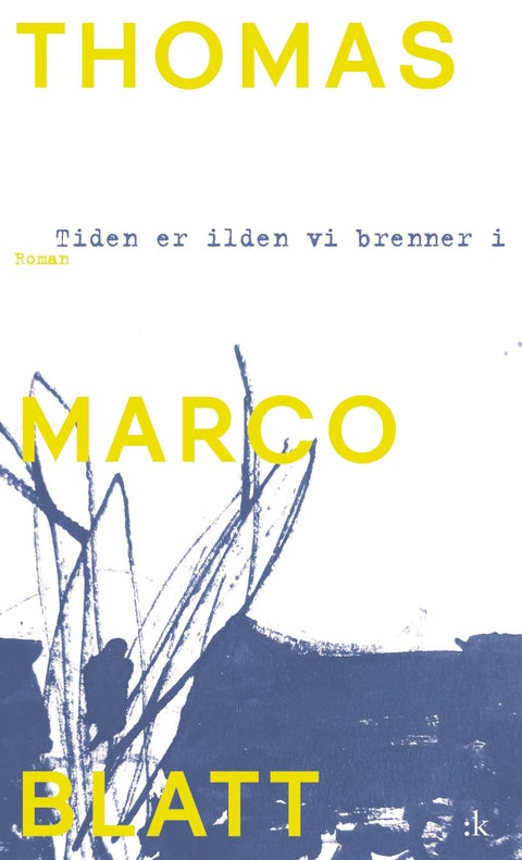 Tiden er ilden vi brenner i - roman