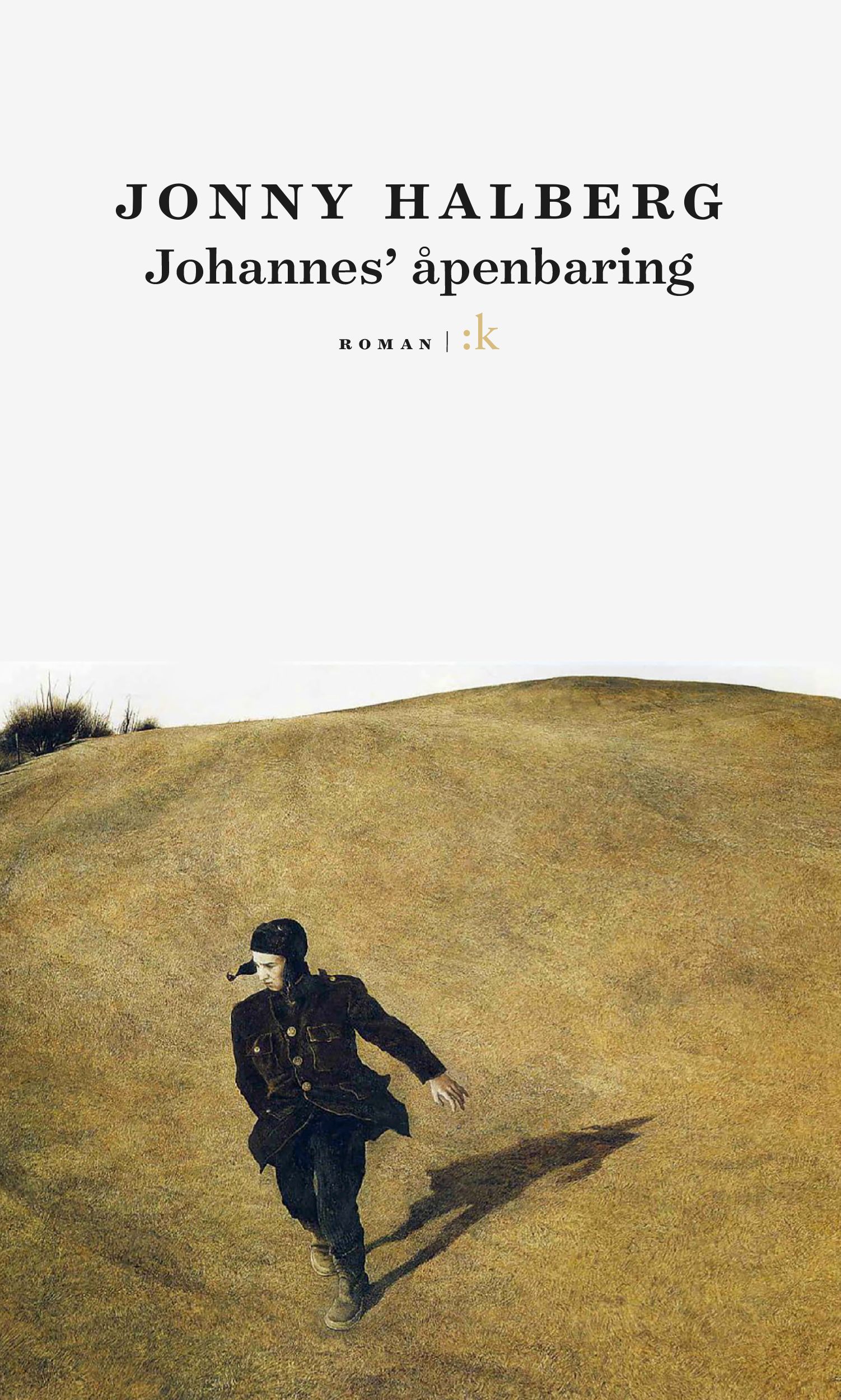Johannes' åpenbaring - roman