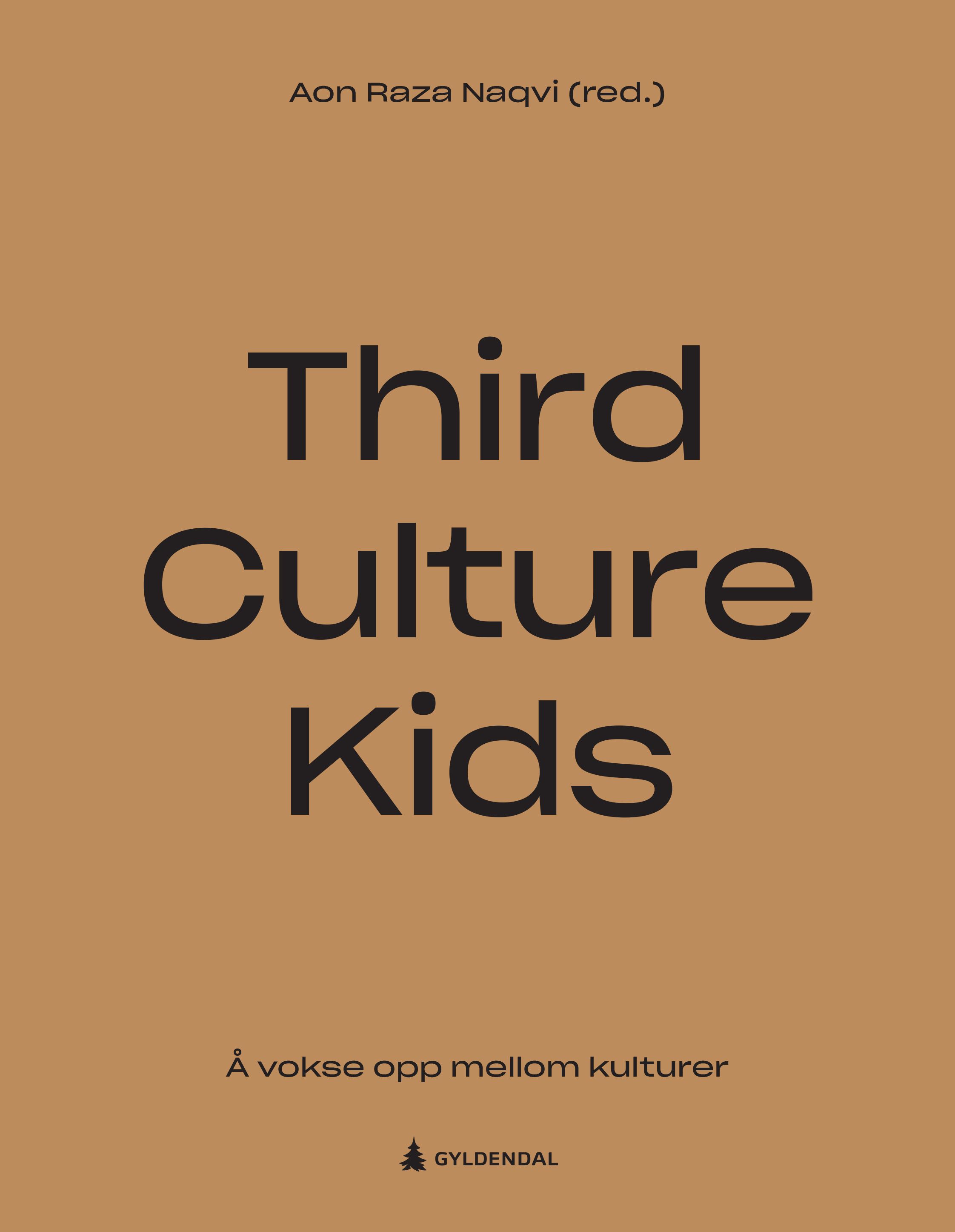 Third culture kids - å vokse opp mellom kulturer