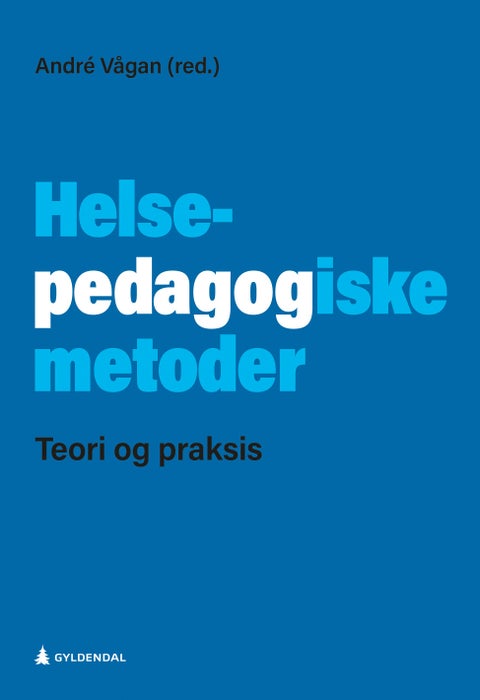 Helsepedagogiske metoder - teori og praksis