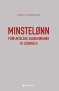 Minstelønn - forpliktelser, begrensninger og løsninger
