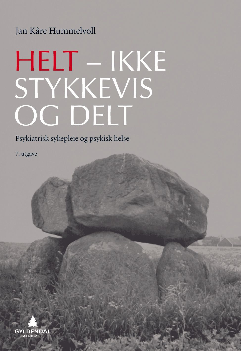 Helt - ikke stykkevis og delt - psykiatrisk sykepleie og psykisk helse