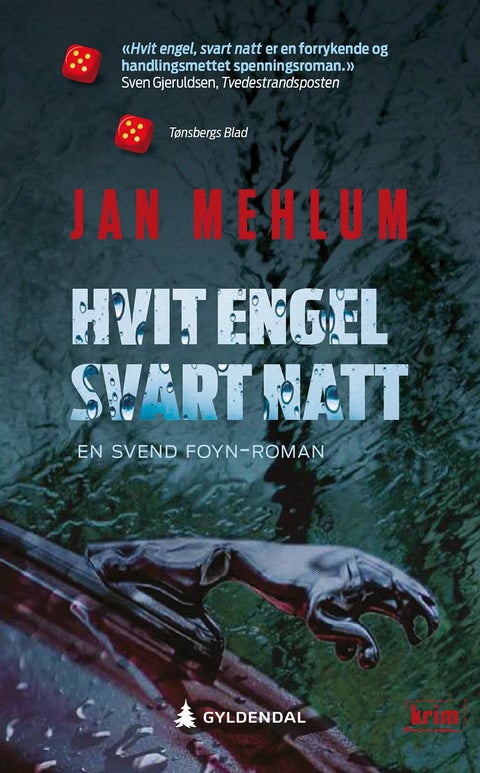 Hvit engel, svart natt - kriminalroman