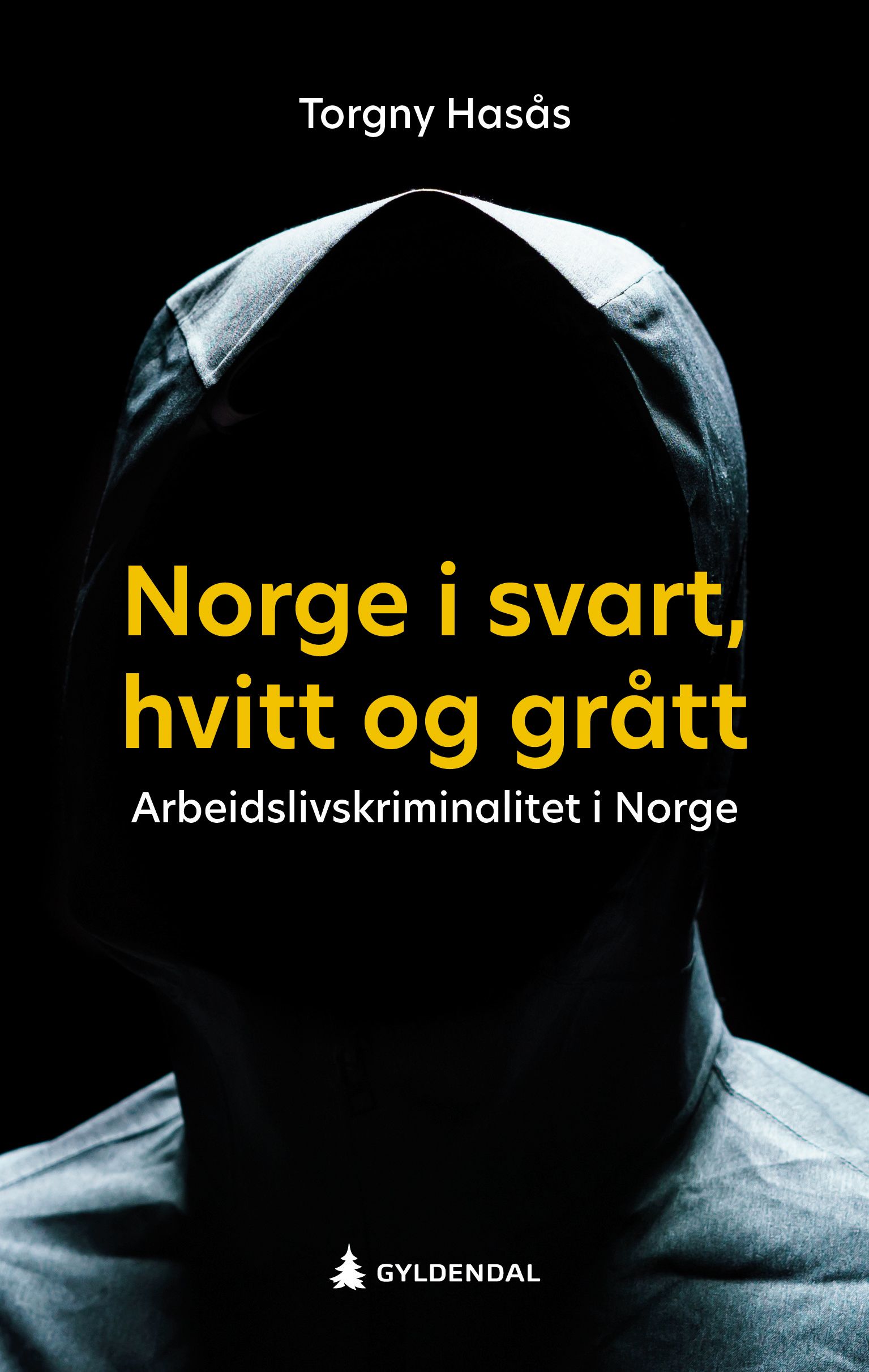 Norge i svart, hvitt og grått - arbeidslivkriminalitet i Norge