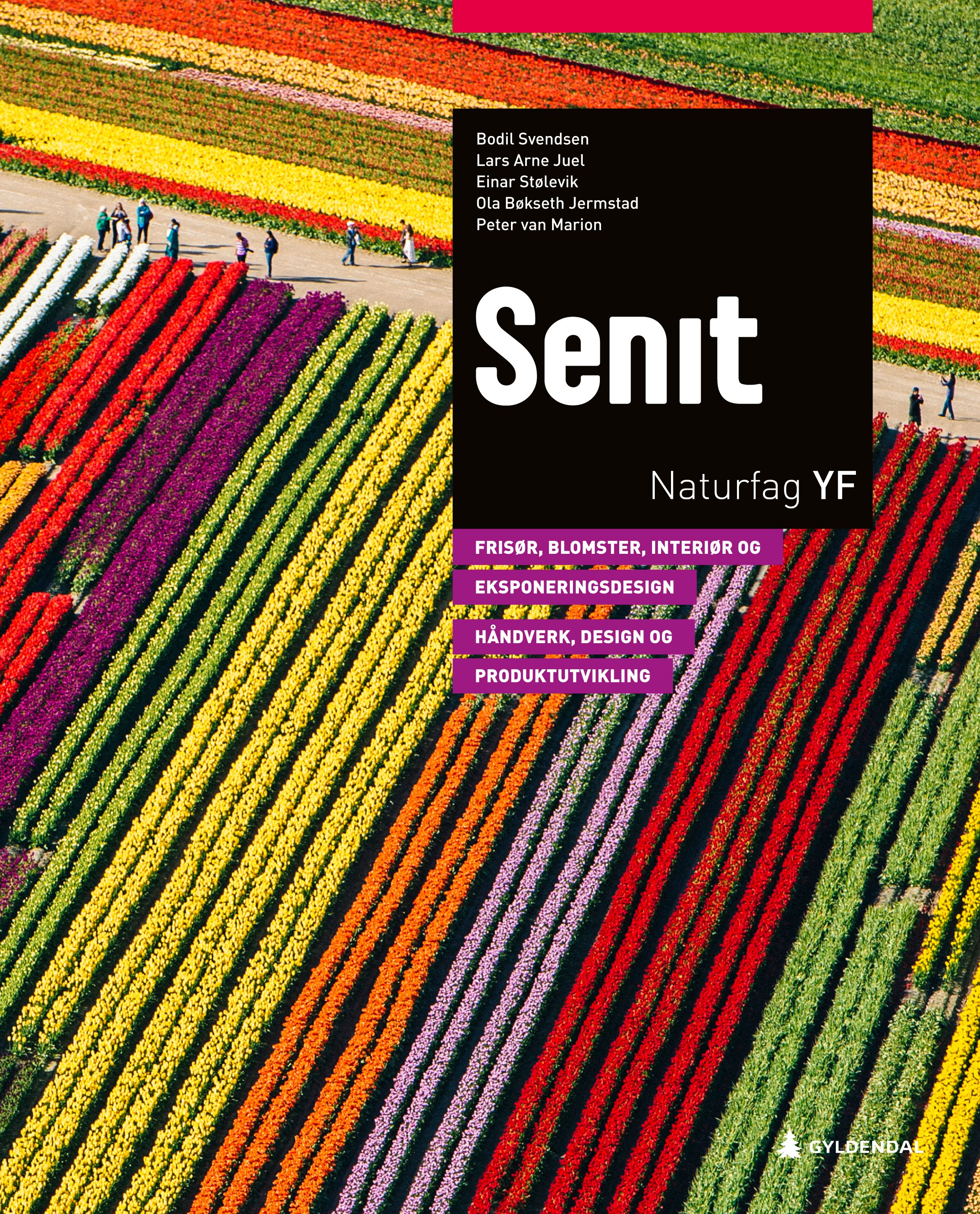 Senit - frisør, blomster, interiør og eksponeringsdesign : håndverk, design og produktutvikling : naturfag YF
