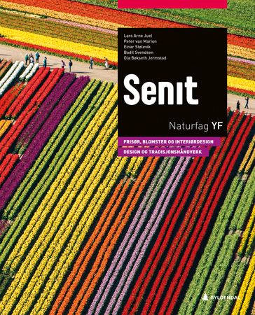 Senit - frisør, blomar, interiør og eksponeringsdesign : handverk, design og produktutvikling : naturfag YF