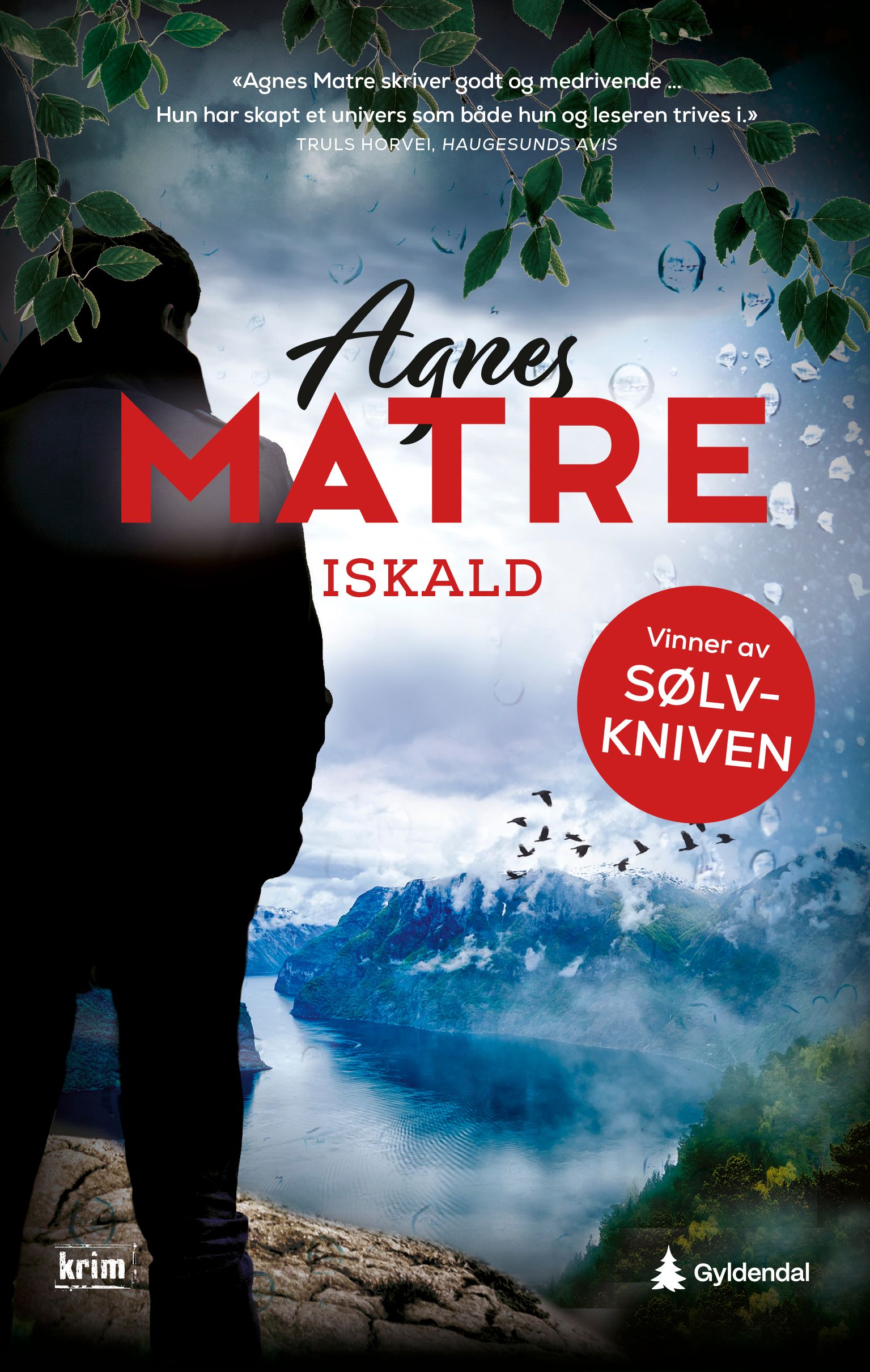 Iskald - kriminalroman