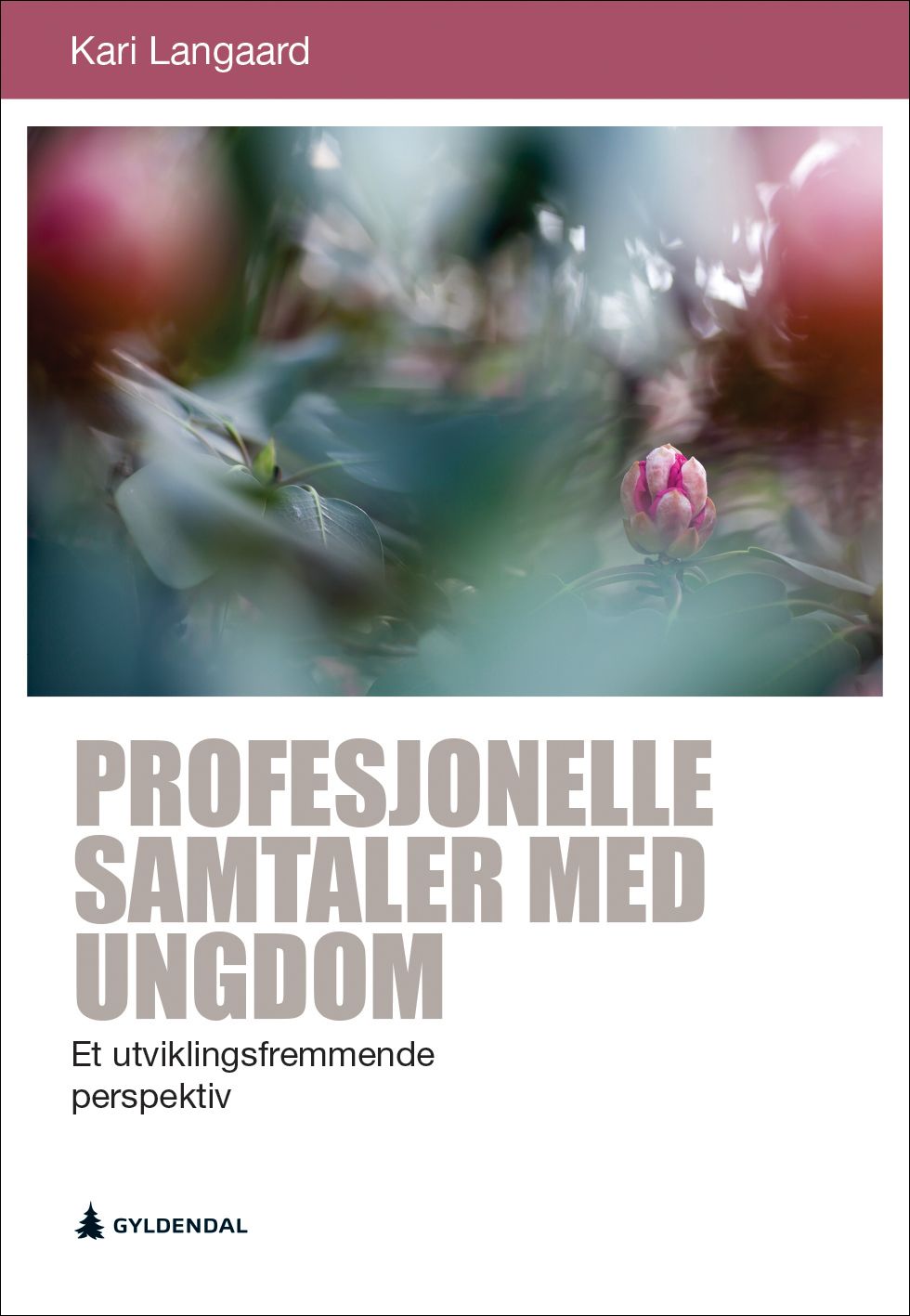 Profesjonelle samtaler med ungdom - et utviklingsfremmende perspektiv