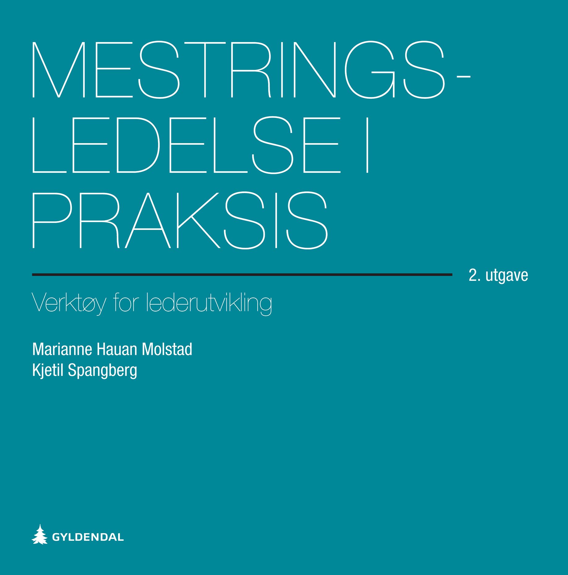 Mestringsledelse i praksis - verktøy for lederutvikling