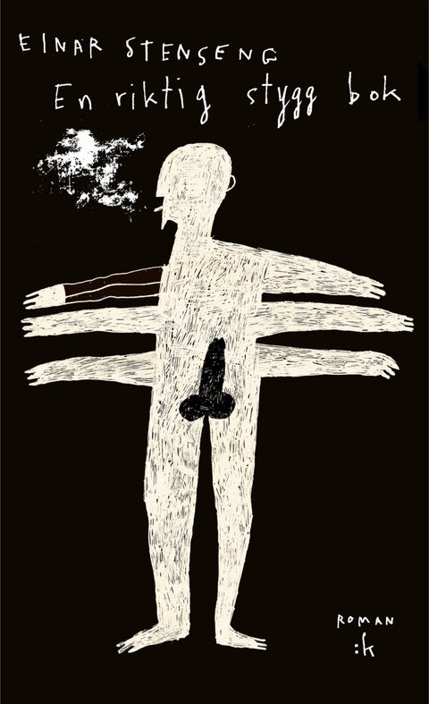 En riktig stygg bok - roman
