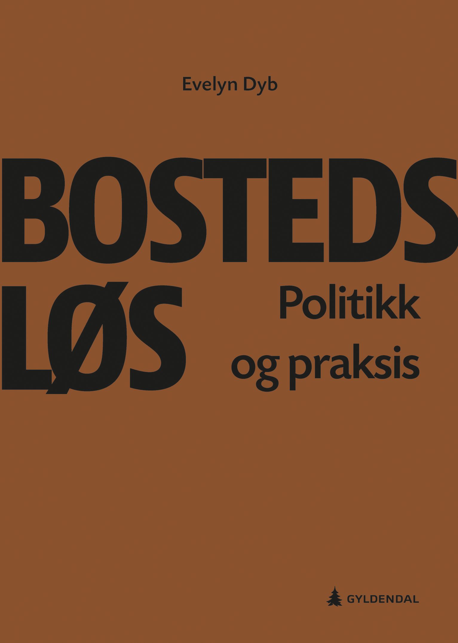 Bostedsløs - politikk og praksis