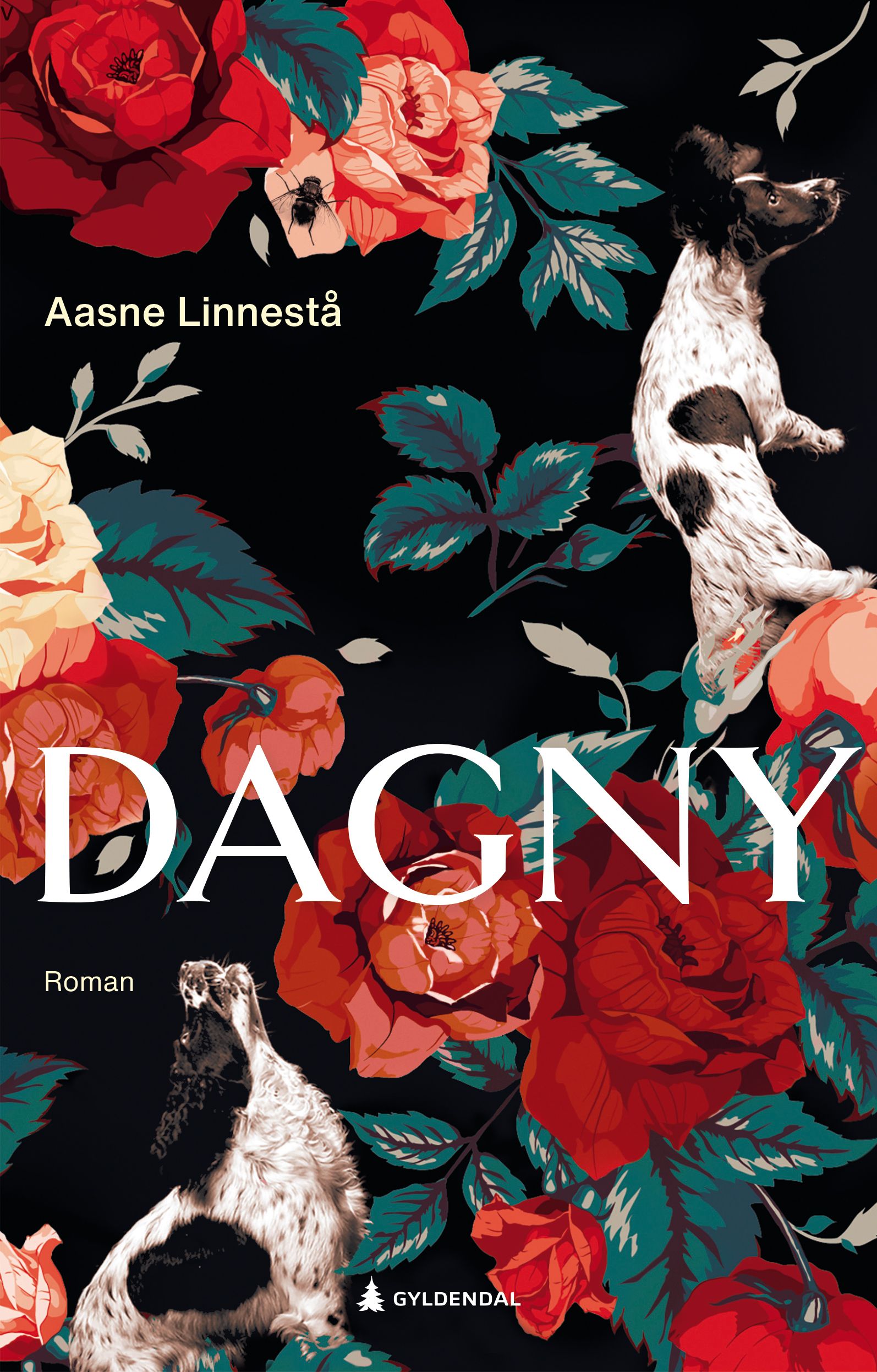 Dagny - roman