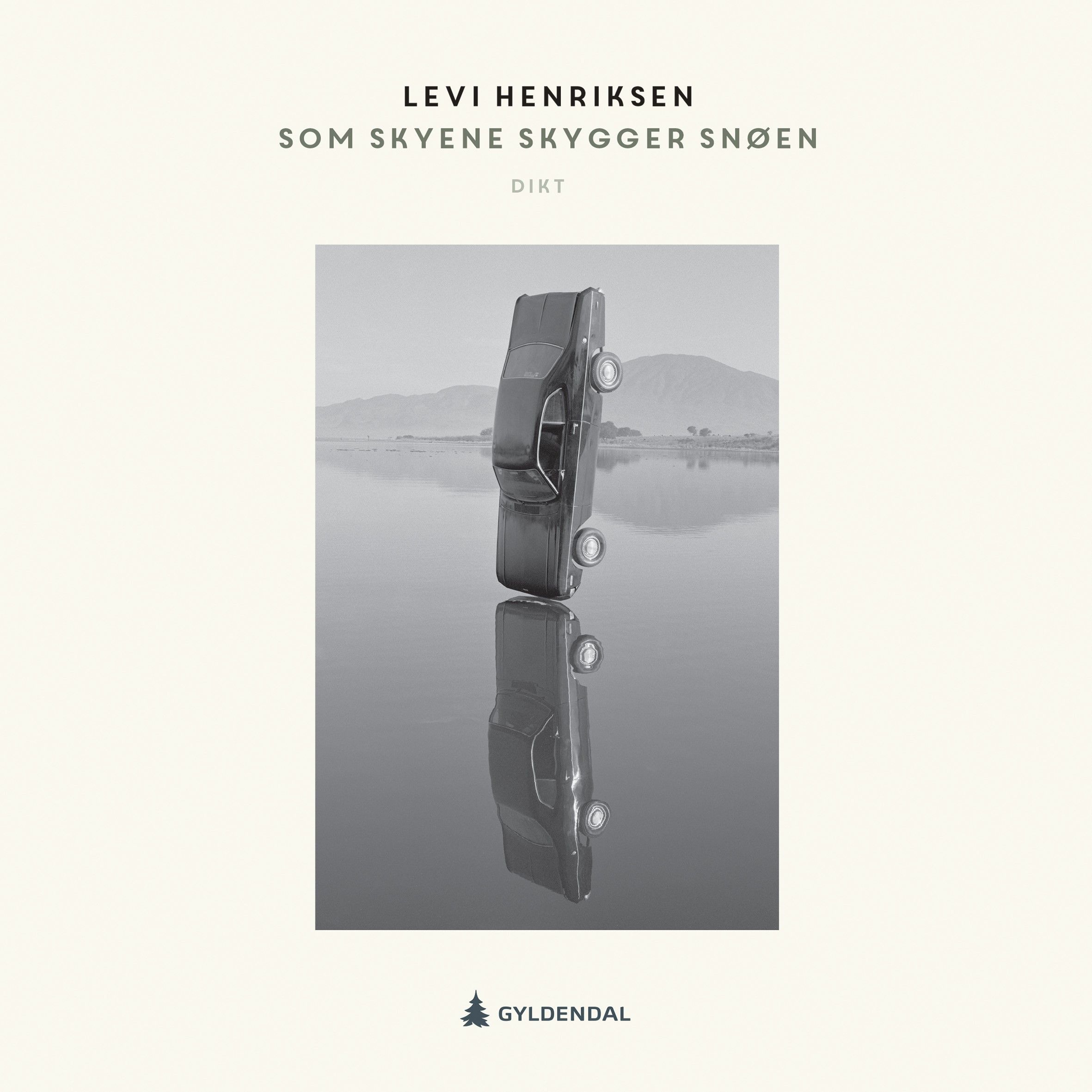 Som skyene skygger snøen - dikt langs veien