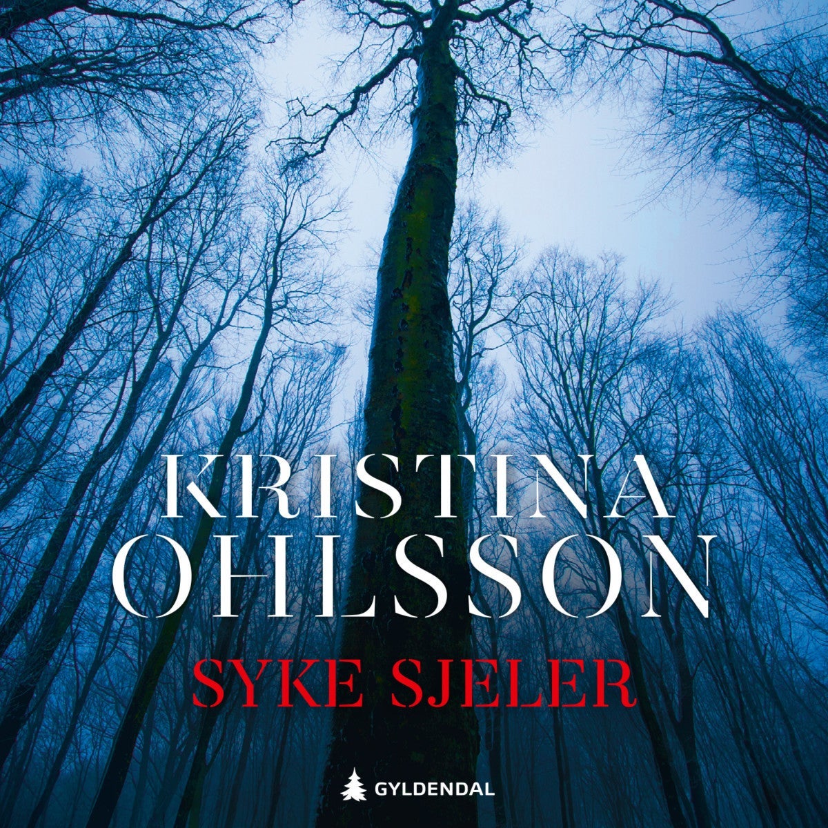Syke sjeler