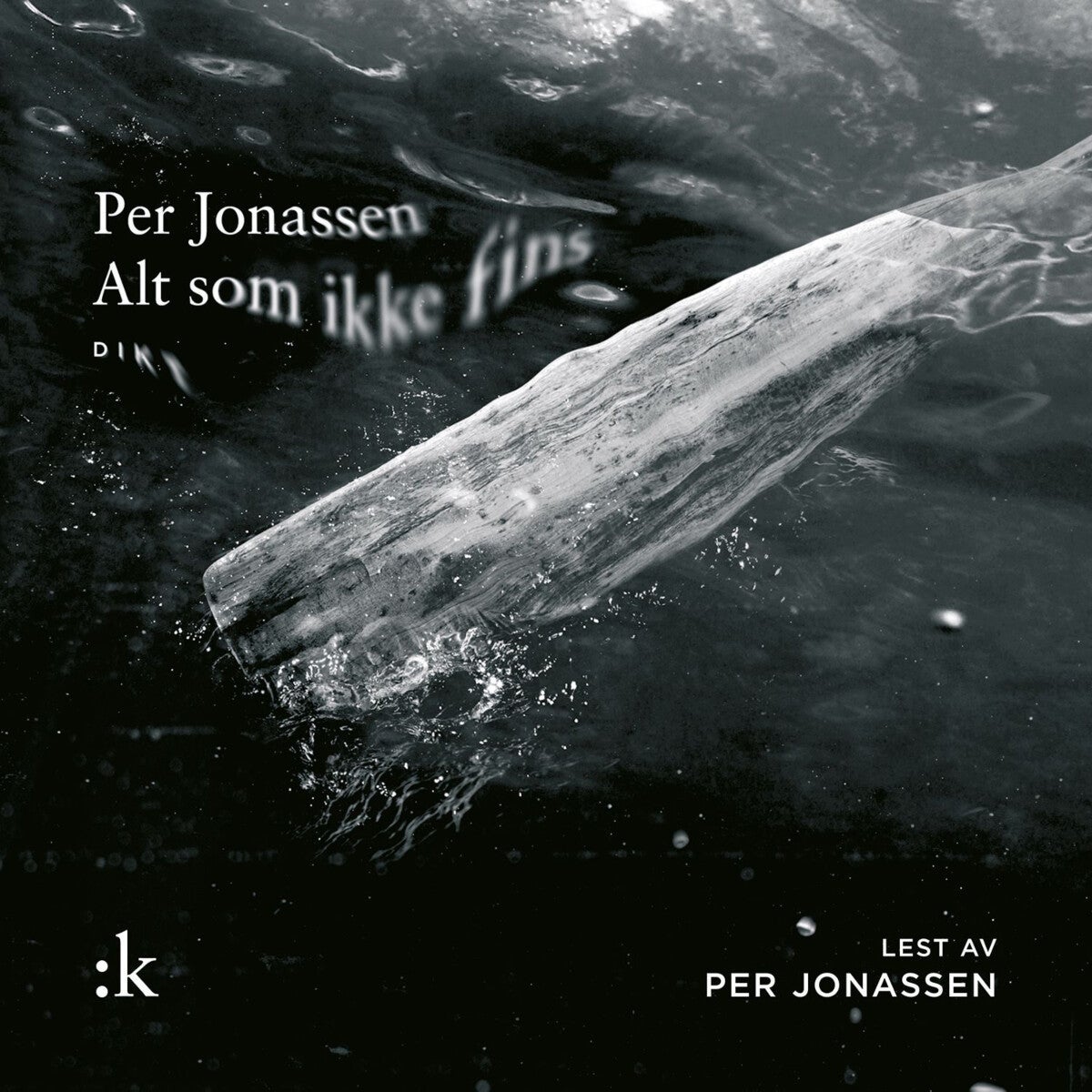 Alt som ikke fins