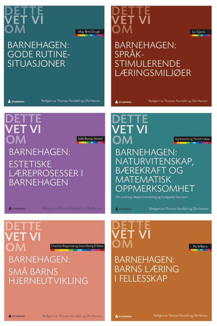 Dette vet vi om barnehagen - samlepakke 2