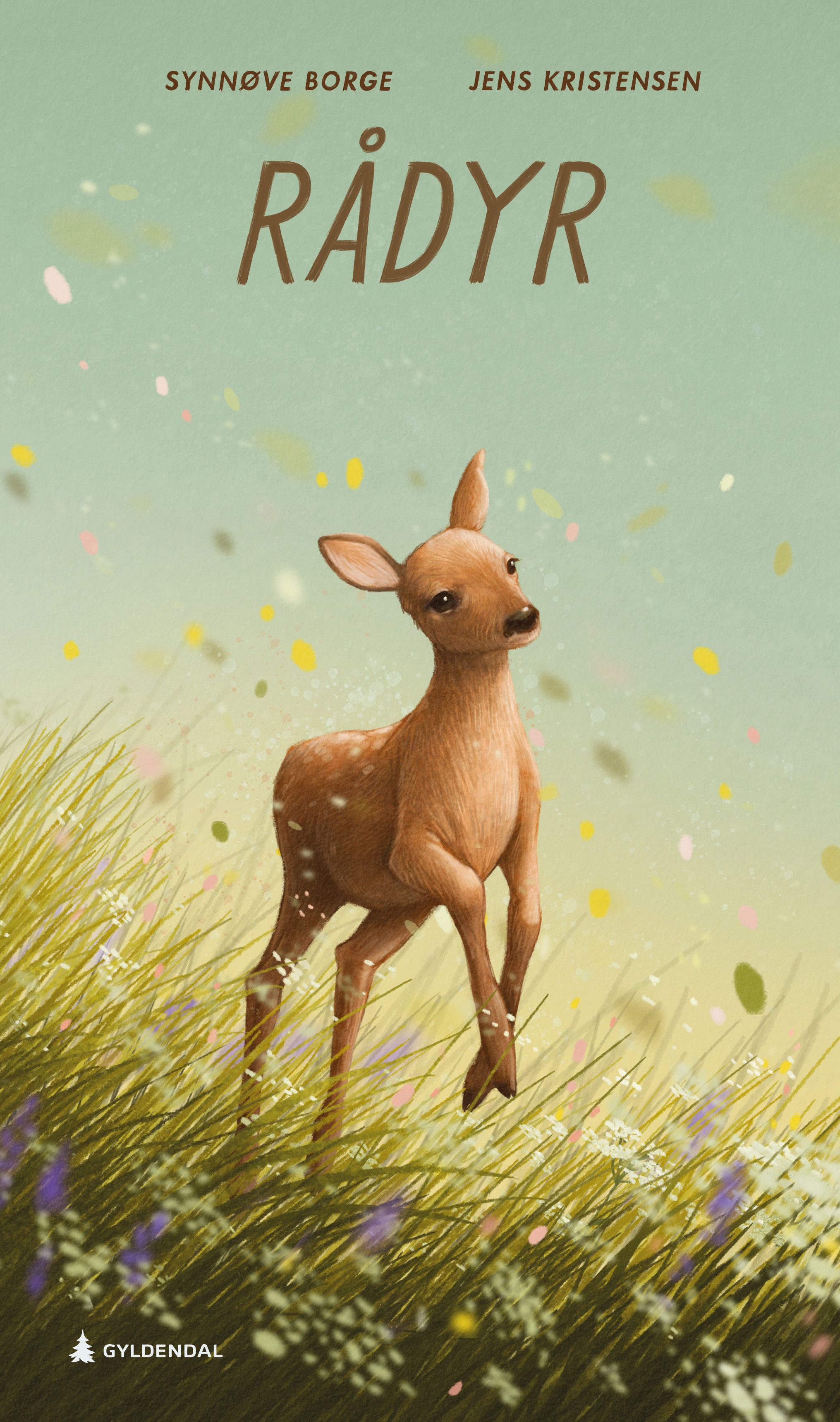 Rådyr - capreolus capreolus