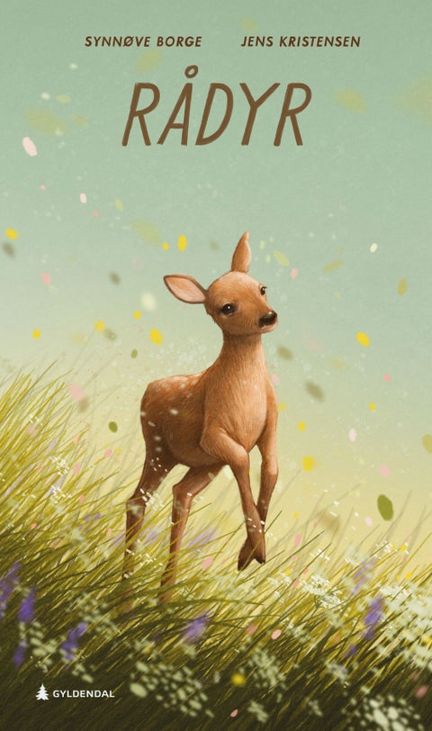 Rådyr - capreolus capreolus