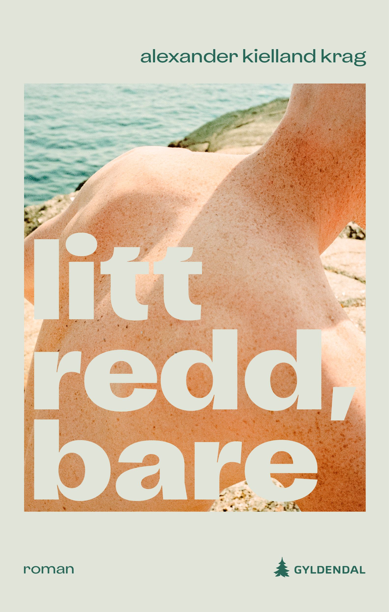 Litt redd, bare - roman