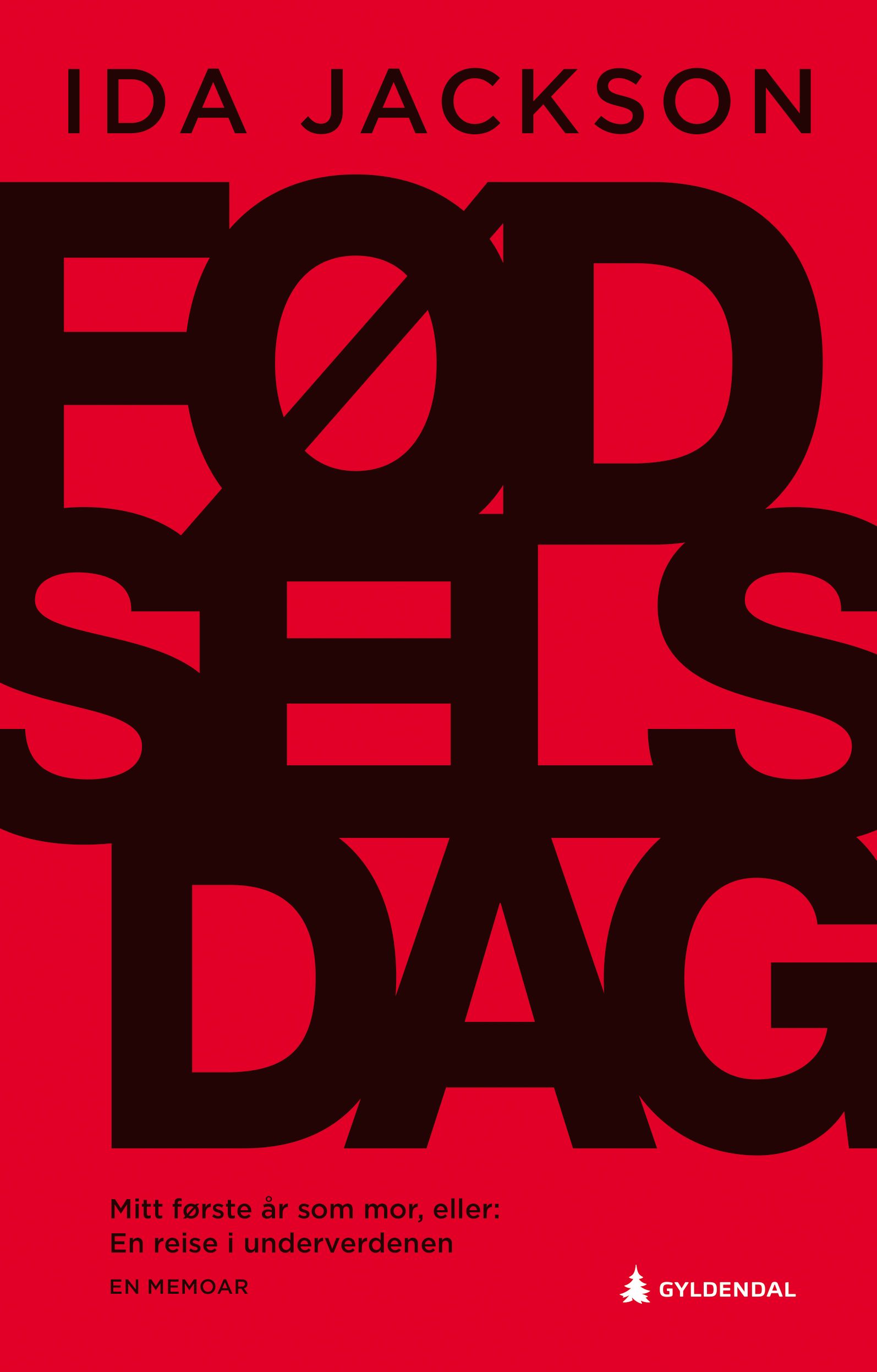 Fødselsdag - mitt første år som mor, eller En reise i underverdenen : en memoar