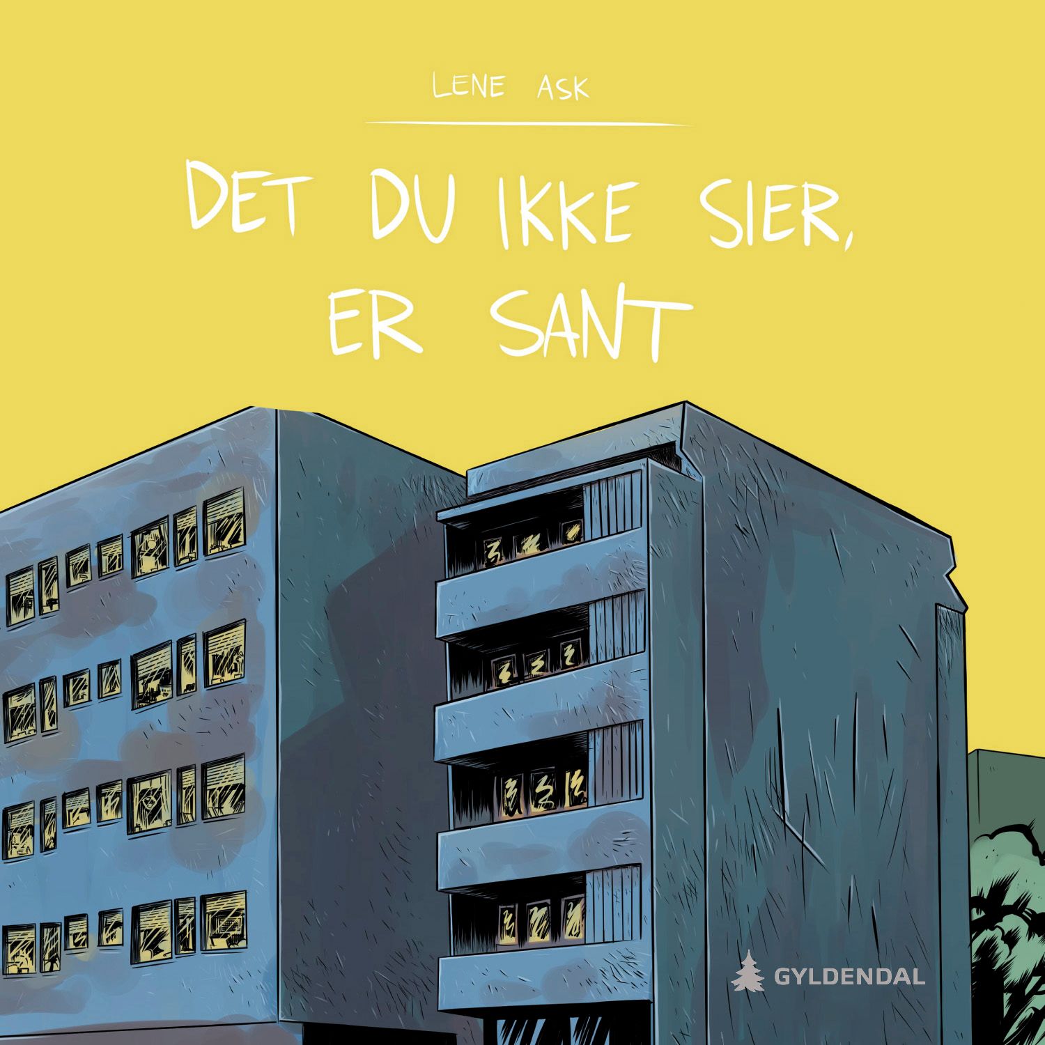 Det du ikke sier, er sant