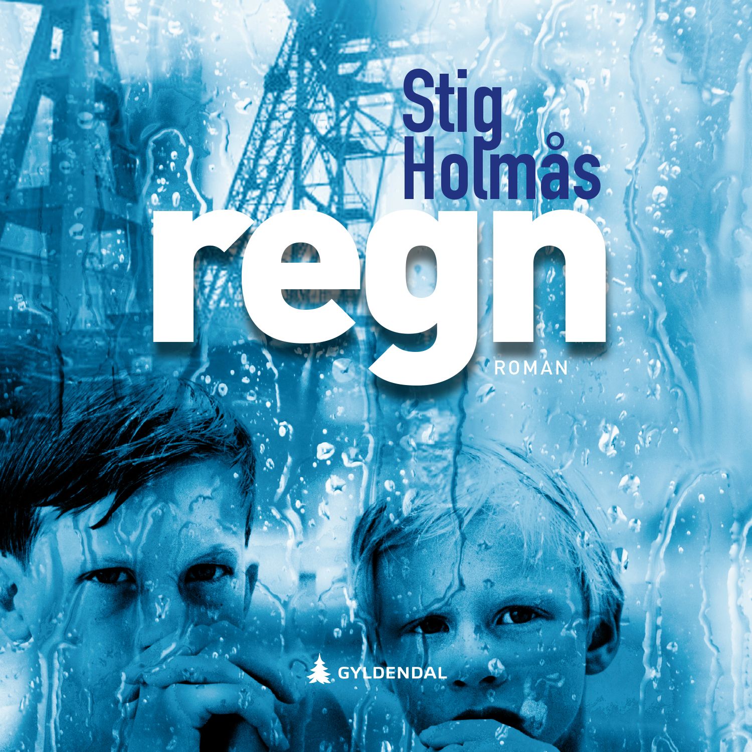 Regn - roman