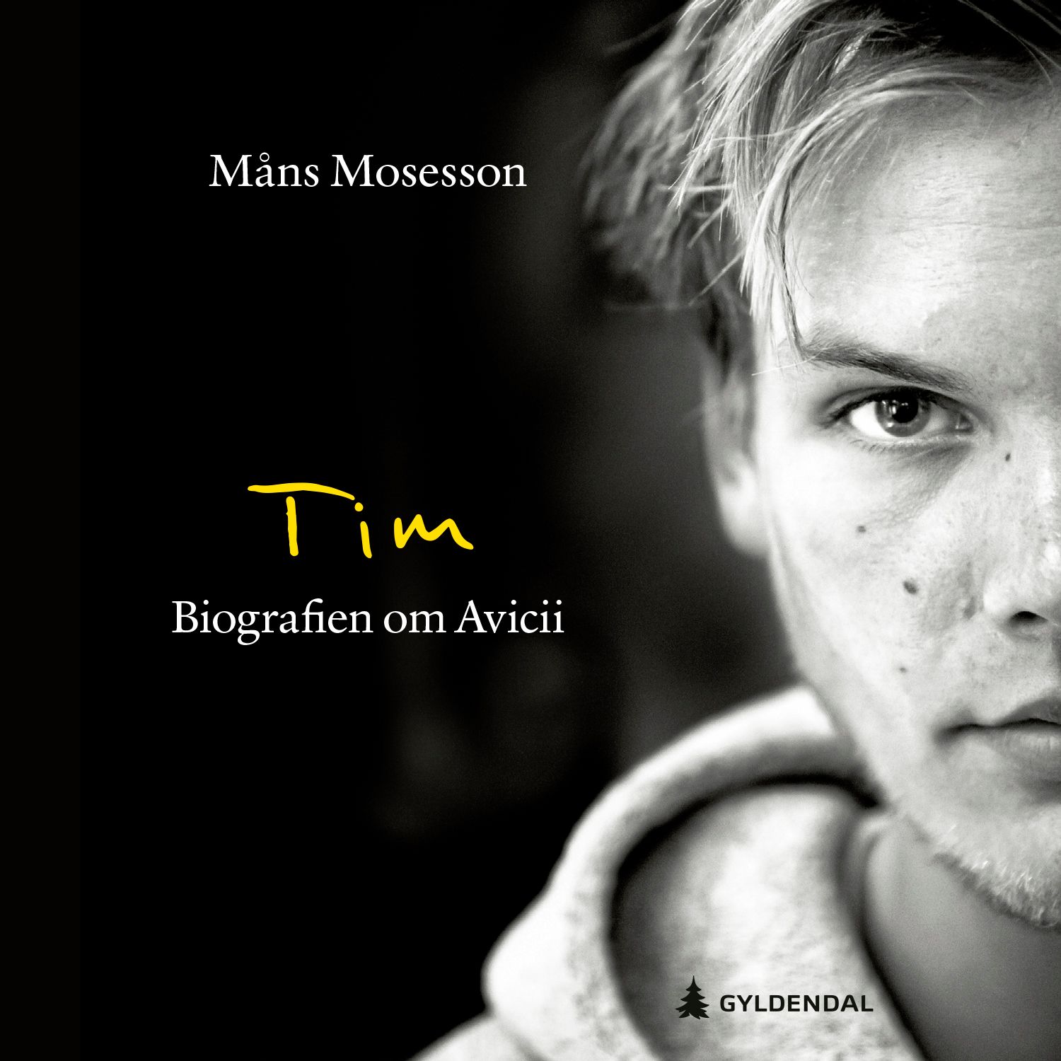 Tim - biografien om Avicii