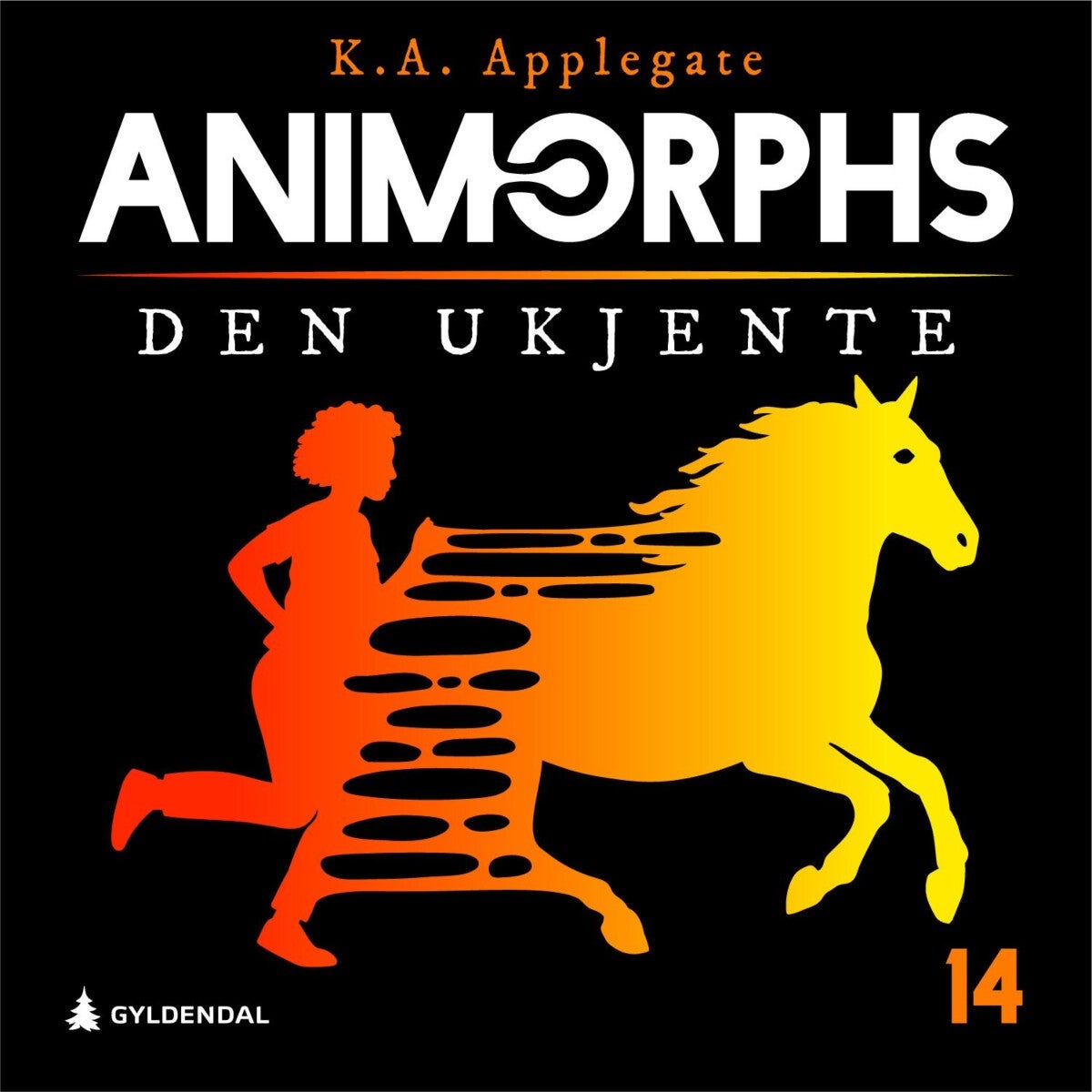 Den ukjente