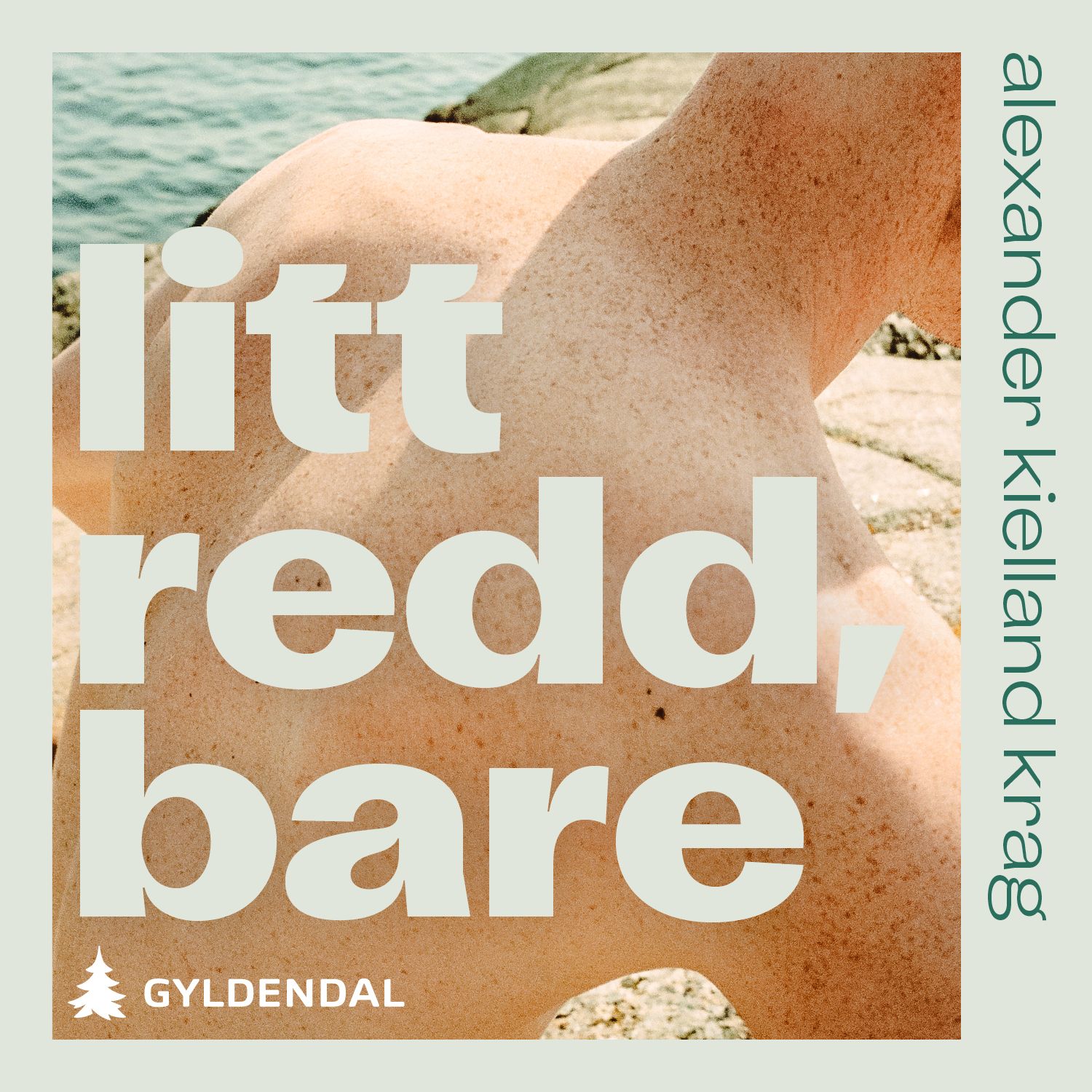 Litt redd, bare - roman