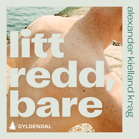 Litt redd, bare - roman