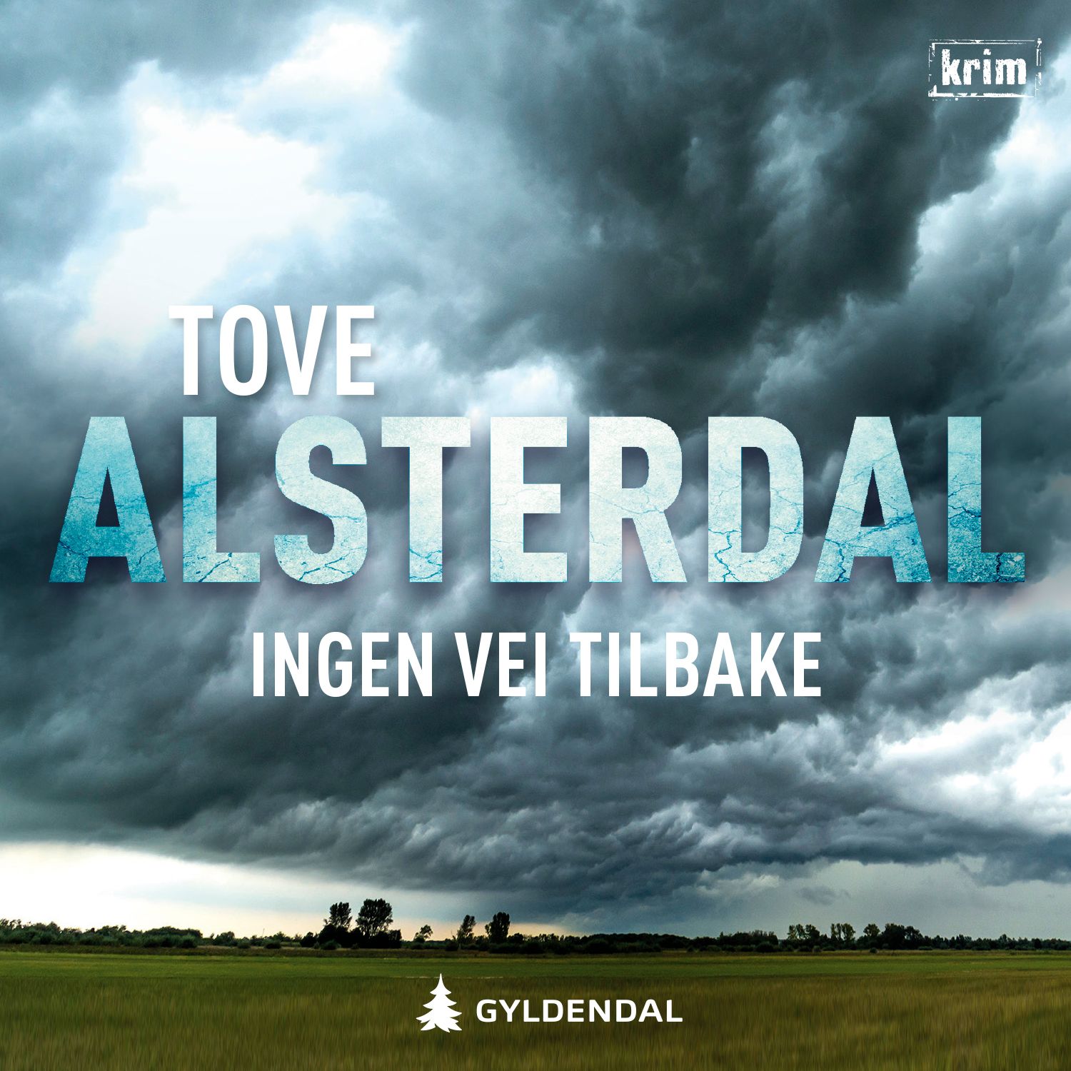 Ingen vei tilbake - kriminalroman