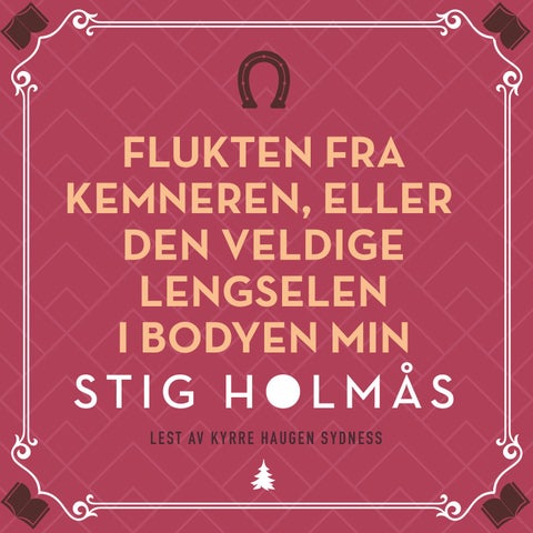 Flukten fra kemneren, eller Den veldige lengselen i bodyen min - roman