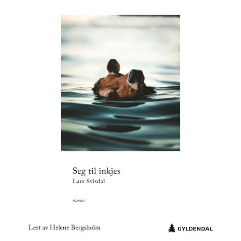 Seg til inkjes - roman