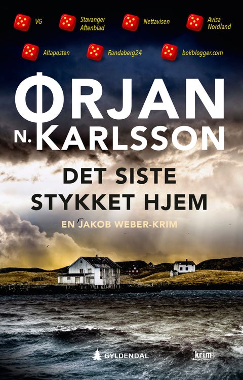 Det siste stykket hjem - kriminalroman