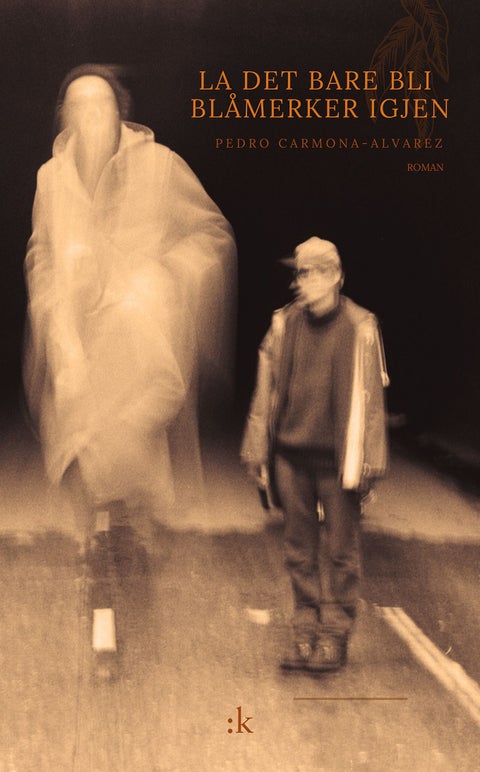 La det bare bli blåmerker igjen - roman