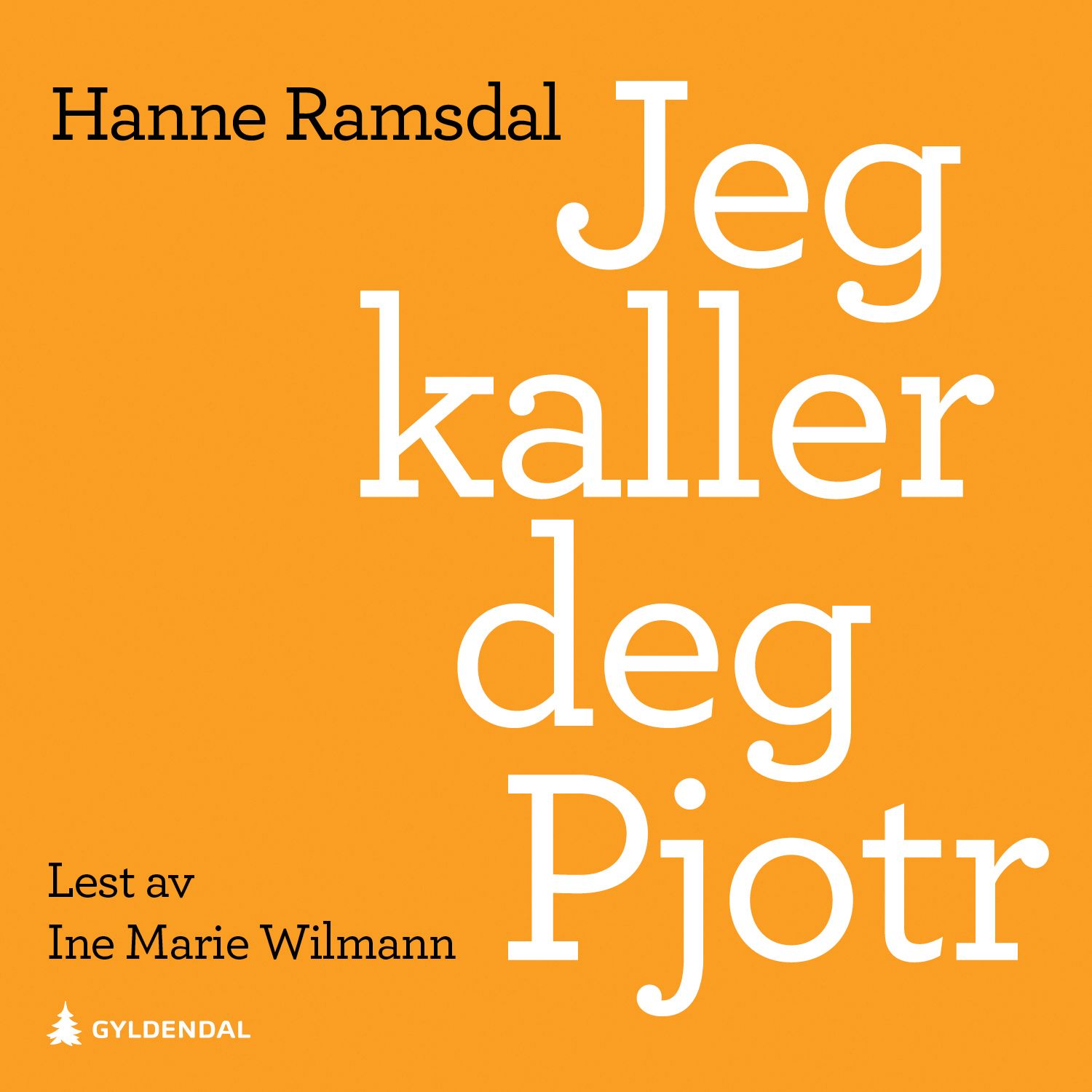 Jeg kaller deg Pjotr - roman