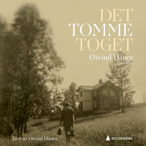 Det tomme toget - roman
