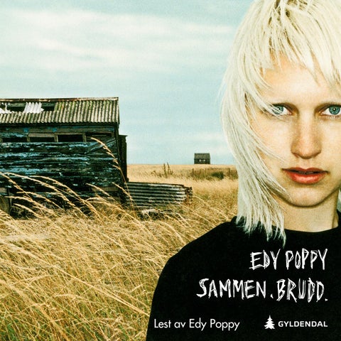 Sammen. Brudd - noveller