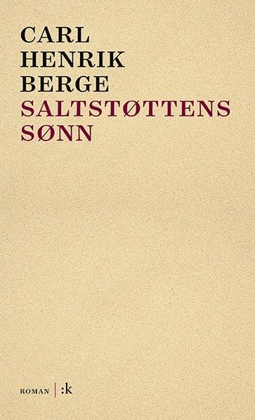 Saltstøttens sønn - roman