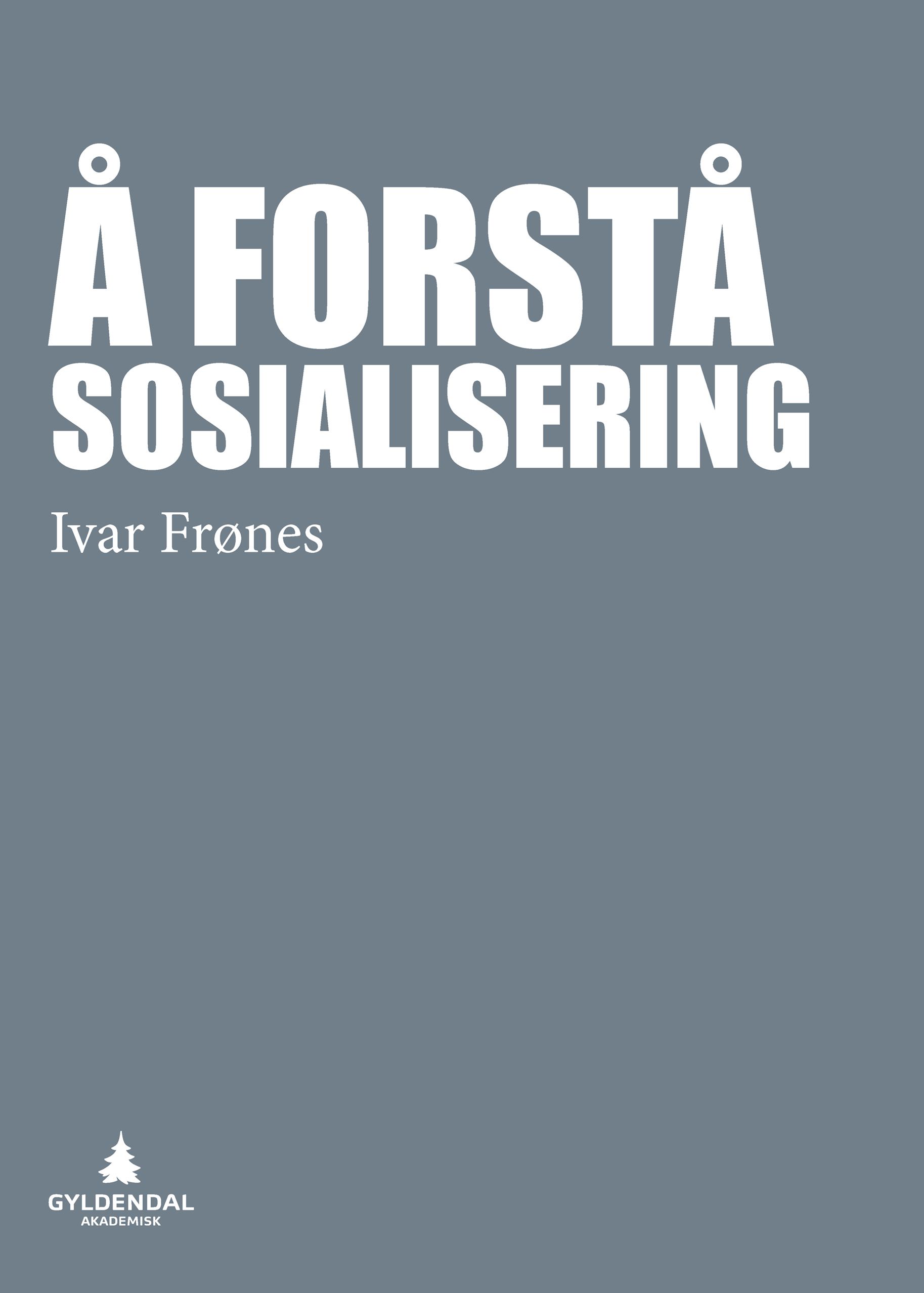 Å forstå sosialisering