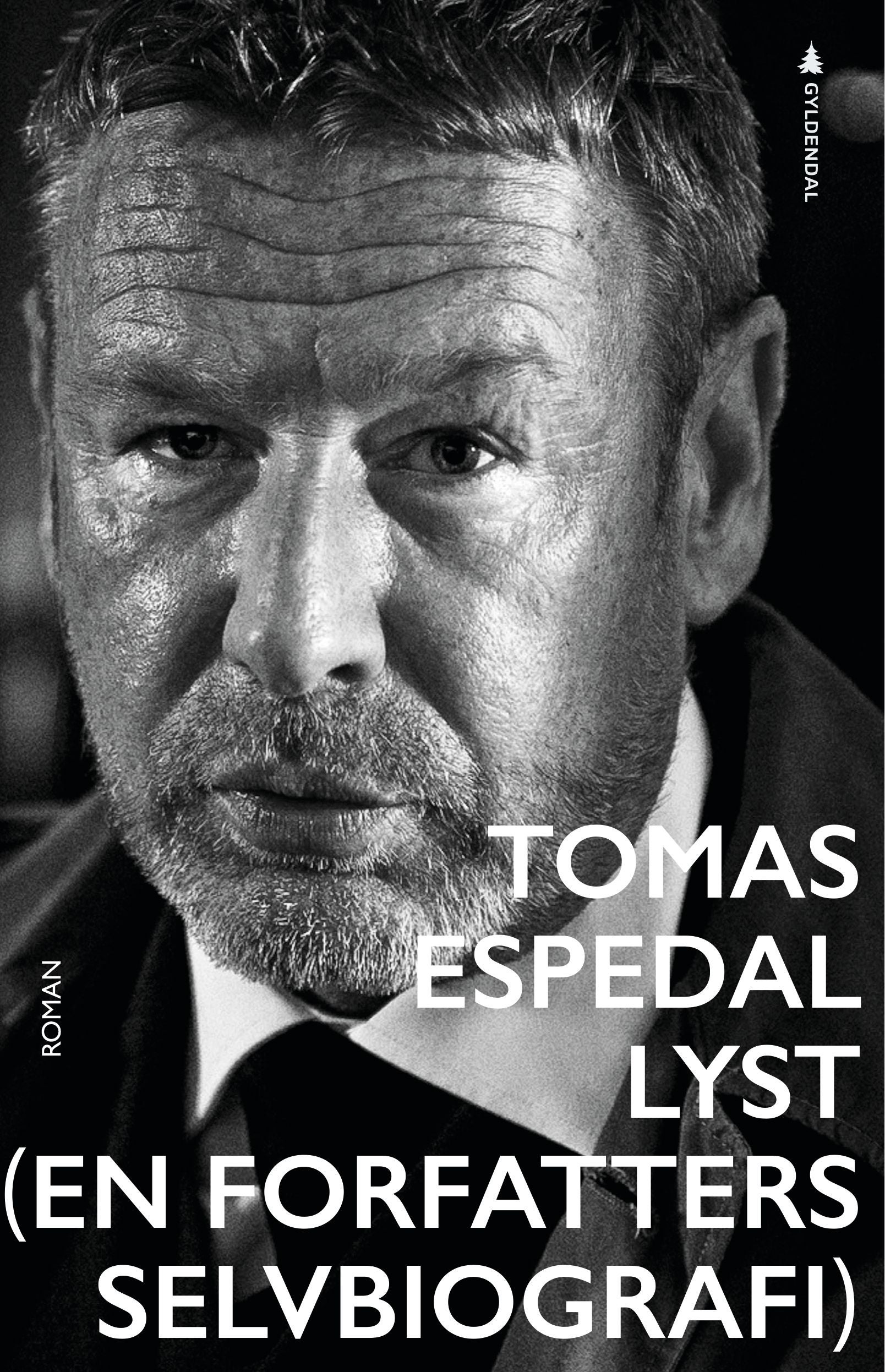 Lyst - (en forfatters selvbiografi) : roman