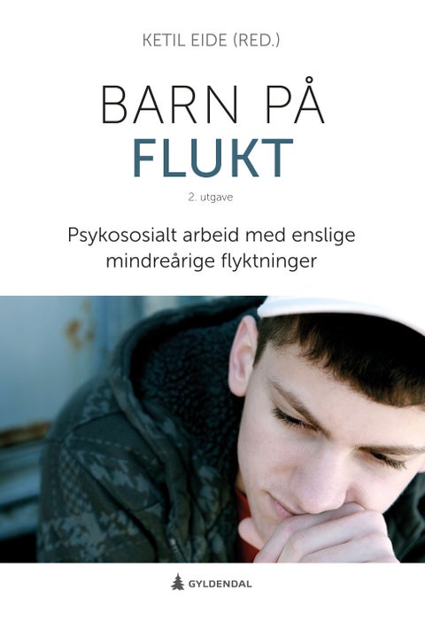 Barn på flukt - psykososialt arbeid med enslige mindreårige flyktninger