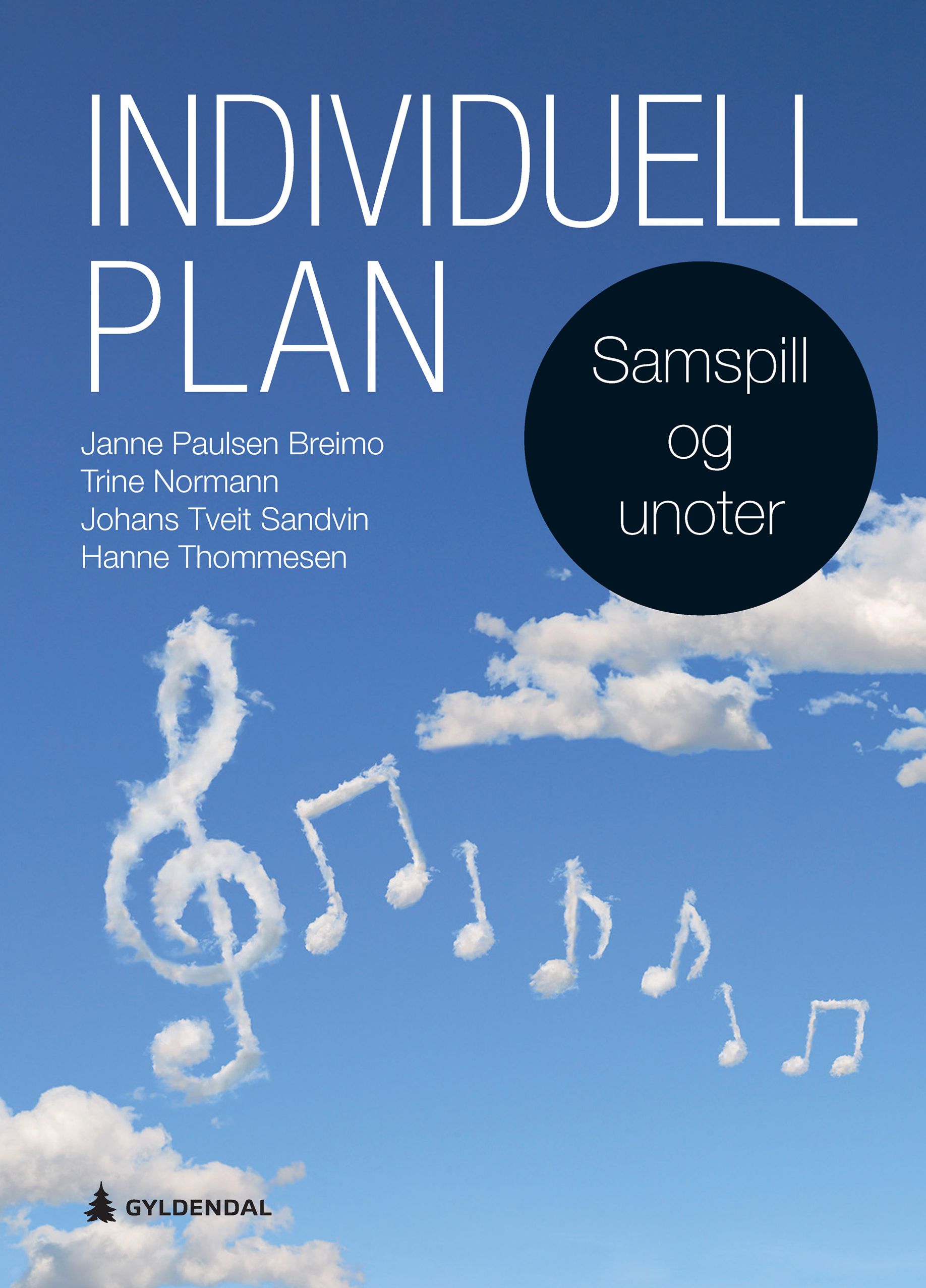 Individuell plan