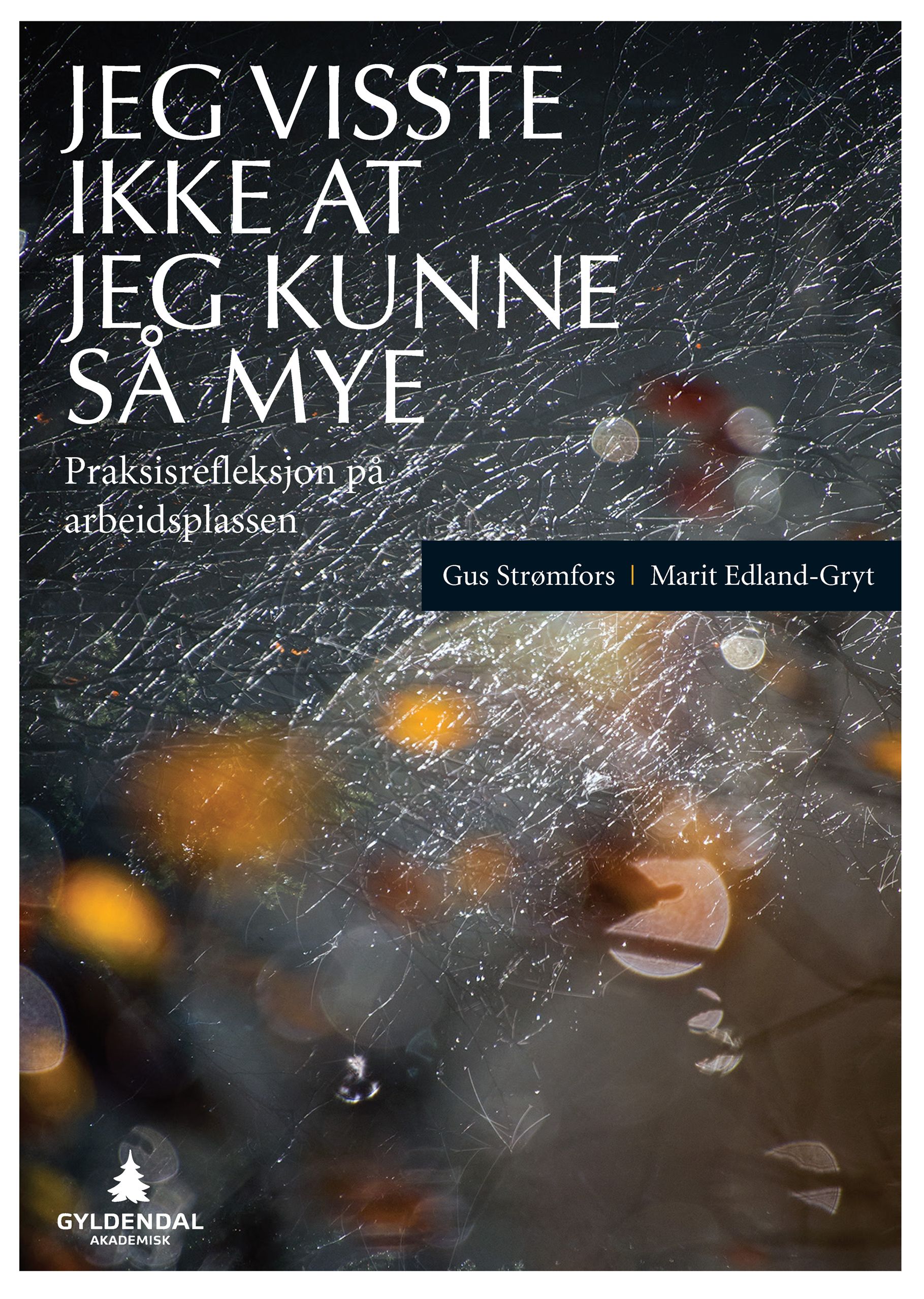 Jeg visste ikke at jeg kunne så mye - praksisrefleksjon på arbeidsplassen