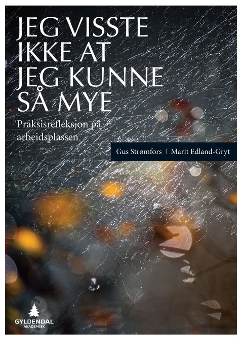 Jeg visste ikke at jeg kunne så mye - praksisrefleksjon på arbeidsplassen