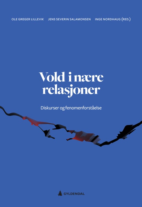 Vold i nære relasjoner - diskurser og fenomenforståelse