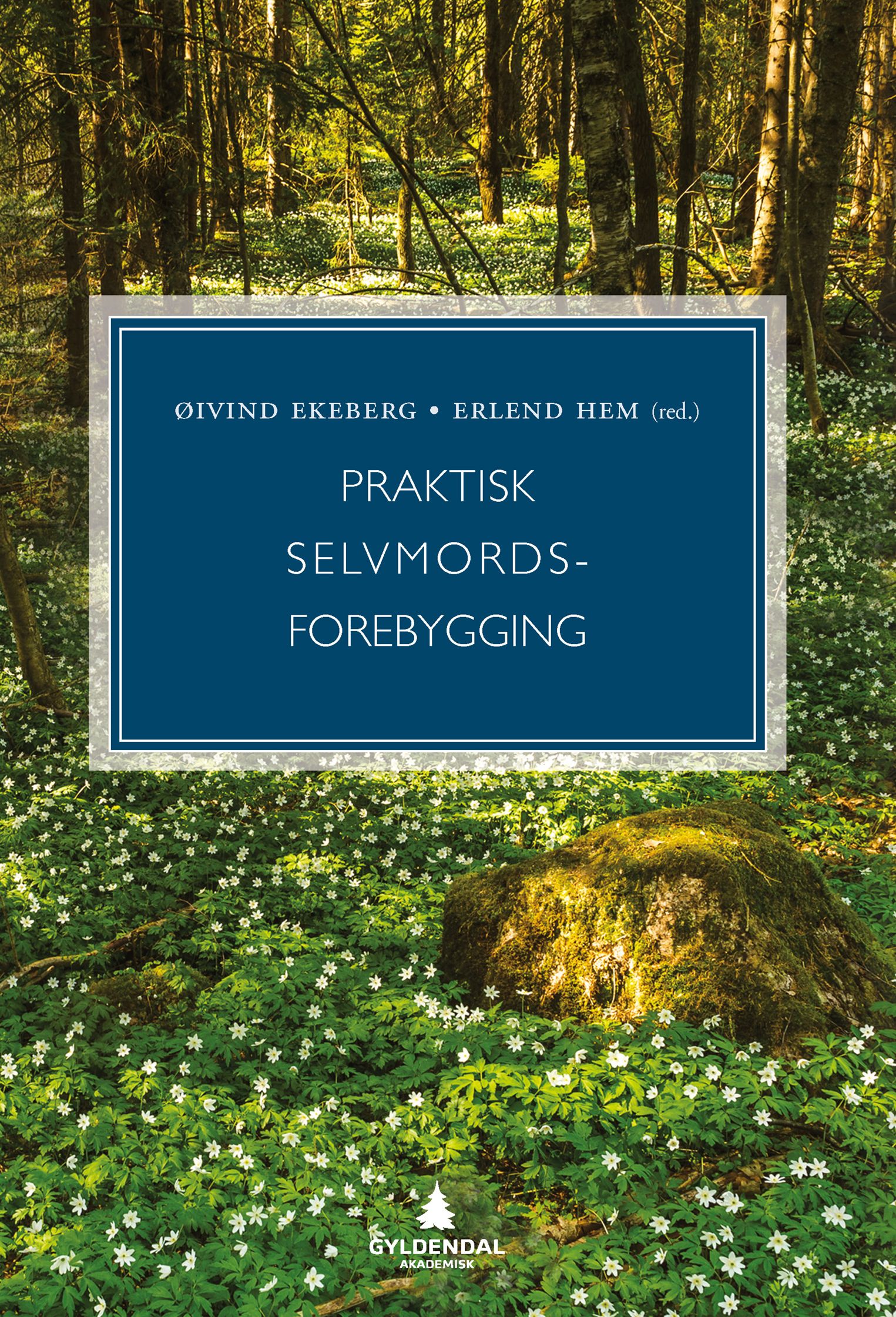 Praktisk selvmordsforebygging