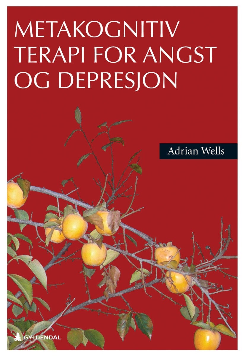 Metakognitiv terapi for angst og depresjon